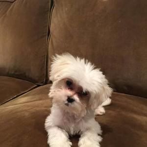 Meet your Posher, Carolyn